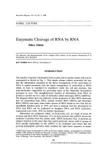 Enzymatic cleavage of RNA by RNA