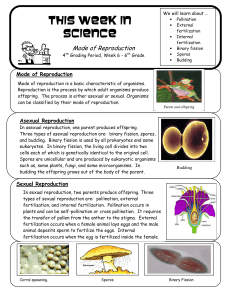 This week in science 6th - Reproduction