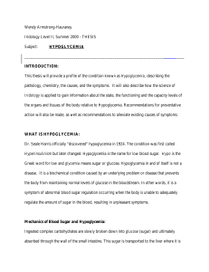 Thesis – Hypoglycemia