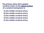 The primary artery that supplies cerebral cortex on the lateral