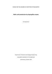 Malic acid production by Aspergillus oryzae