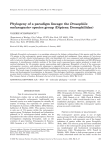 the Drosophila melanogaster species group