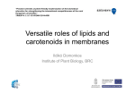 Versatile roles of lipids and carotenoids in membranes