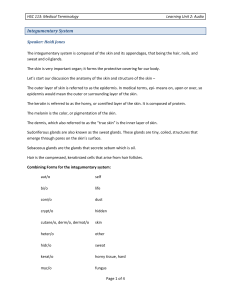 Integumentary System - Indian Hills Community College