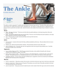 The Ankle - Positive Steps Therapy