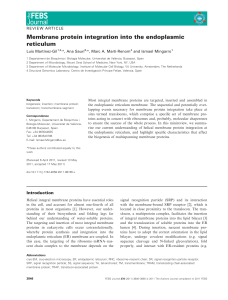 Membrane protein integration into the endoplasmic reticulum