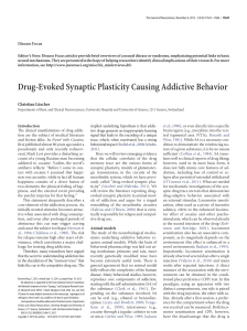 Drug-Evoked Synaptic Plasticity Causing Addictive Behavior