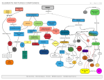 here is a link to concept map pdf!!