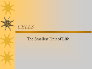 The Smallest Unit of Life - Mona Shores Online Learning Center