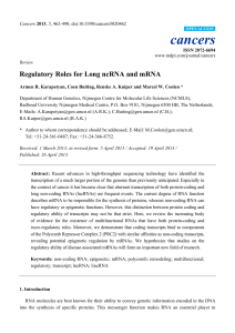 Regulatory Roles for Long ncRNA and mRNA