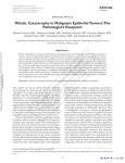 Mitotic Catastrophe in Malignant Epithelial Tumors: The