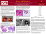 Guinea Pig Adenovirus - American Preclinical Services