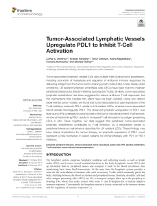 Tumor-Associated Lymphatic Vessels Upregulate PDL1 to Inhibit T
