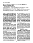 homolog of the agouti gene