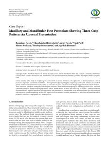 Maxillary and Mandibular First Premolars Showing Three