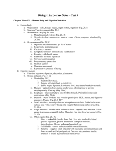 Chapter 20 and 21 – Human Body and Digestion/Nutrition