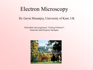 Transmission Electron Microscopy (no examples)