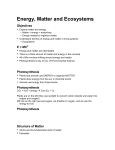 Matter and Energy Fundamentals, Intro to ecosystems