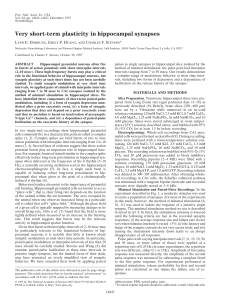 Very short-term plasticity in hippocampal synapses