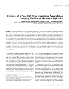 Dynamics of a Plant RNA Virus Intracellular Accumulation: Stamping