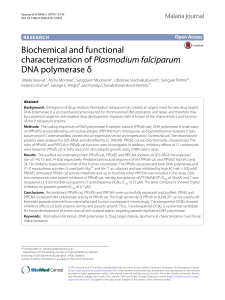 Biochemical and functional characterization of Plasmodium