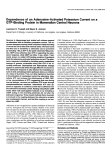 Dependence of an Adenosine-Activated Potassium Current on a