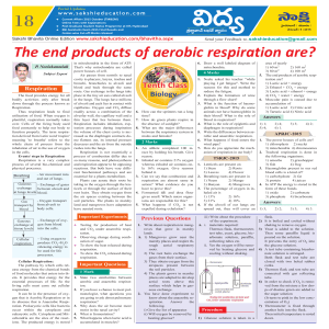 The end products of aerobic respiration are?