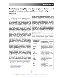 Evolutionary insights into the origin of innate and adaptive immune