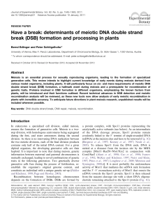 Have a break: determinants of meiotic DNA double strand break