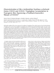 Characterization of Rice Anthranilate Synthase