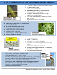 Fact Sheet - Aquatic Invasive Plants