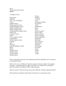 BI212 Animal Form and Function Week 1 Vocabulary Terms