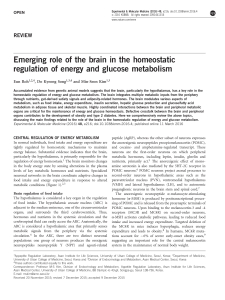 Emerging role of the brain in the homeostatic regulation of