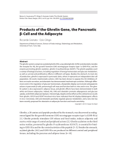 Products of the Ghrelin Gene, the Pancreatic β