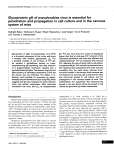 Glycoprotein gH of pseudorabies virus is essential for penetration