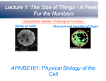 APh/BE161: Physical Biology of the Cell Lecture 1: The Size of
