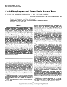 Alcohol Dehydrogenase and Ethanol in the
