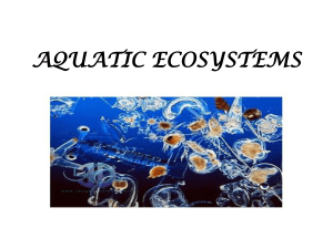 aquatic ecosystems