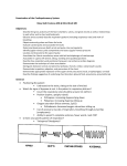 Basic Science Physical Exam – Cardiopulm