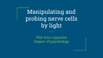 Manipulating and probing nerve cells by light