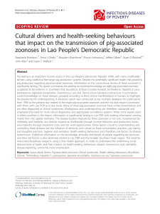 Cultural drivers and health-seeking behaviours