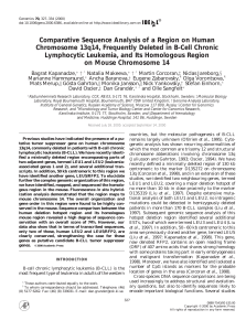 Comparative Sequence Analysis of a Region on Human