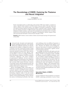 The Neurobiology of EMDR: Exploring the