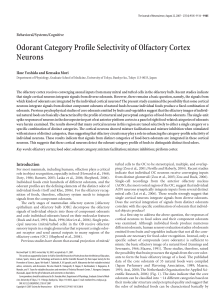 Odorant Category Profile Selectivity of Olfactory Cortex Neurons