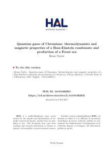 Quantum gases of Chromium: thermodynamics and magnetic