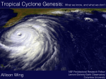Tropical Cyclone Genesis: What we know, and what we don`t