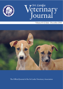 PDF - Sri Lanka Veterinary Journal