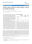 Positive sparse coding of natural images: a theory for simple cell