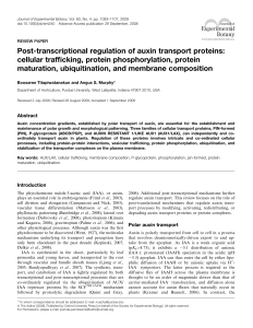 Post-transcriptional regulation of auxin transport proteins: cellular