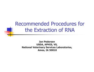 Recommended Procedures for the Extraction of RNA